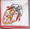 Section NE-2A 1979 Conclave Neckerchief