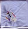 Shu Shu Gah Lodge 2006 NOAC Neckerchief N19