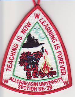 bachelors-degree-patch
