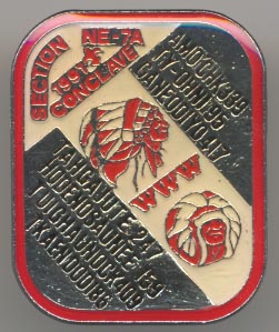 Section NE-7A 1991 Pin