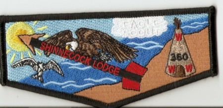 360S40 Eagle