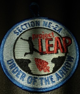 Section NE-2A 2013 Project Leap - Participant Patch