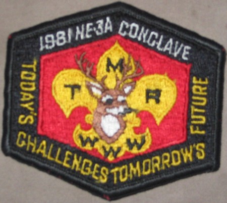 Section NE-3A 1981 Pocket Patch