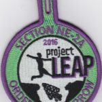 Section NE-2A 2016 Project Leap Participant Patch