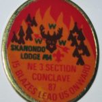 Section NE-3 1987 Section Conclave Pin