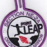 Section NE-2A 2018 Project LEAP Participant Pocket Patch
